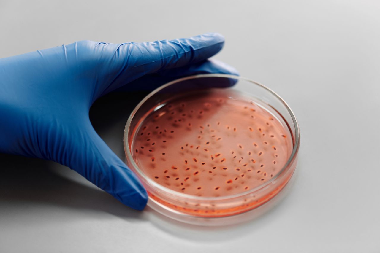 Laboratory Services